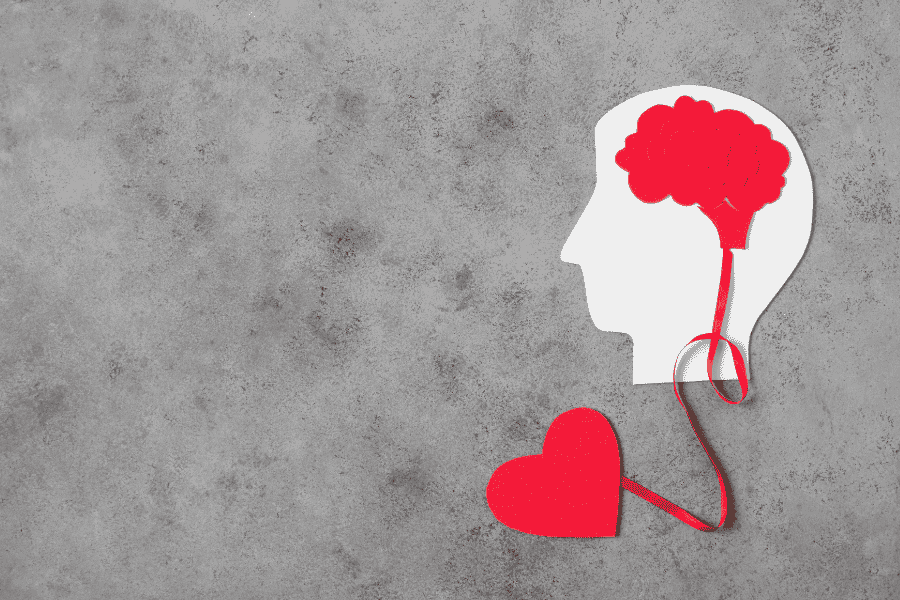 livros sobre inteligência emocional​